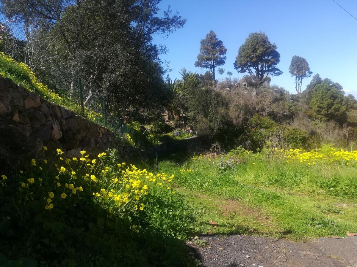 La Campana De Arriba Lägenhet La Guancha Exteriör bild